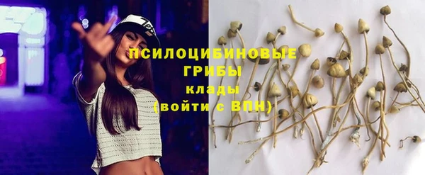 прущие грибы Кинешма