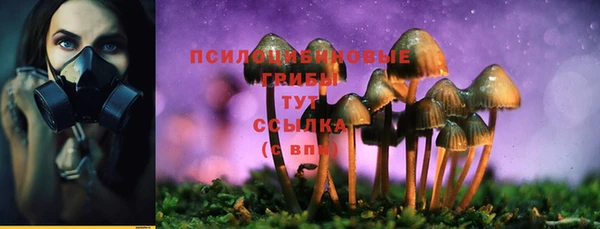 индика Киреевск