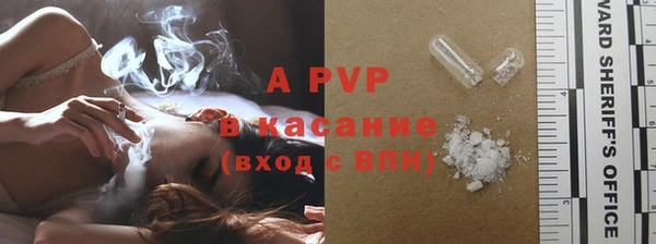 прущие грибы Кинешма