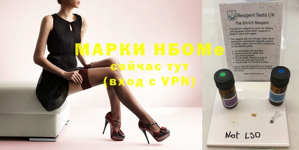 индика Киреевск