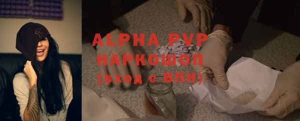 индика Киреевск
