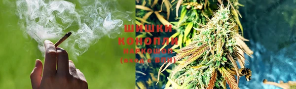 СК Каменка
