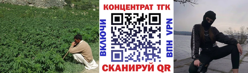 Купить закладки  Петровск  Дистиллят ТГК THC oil 