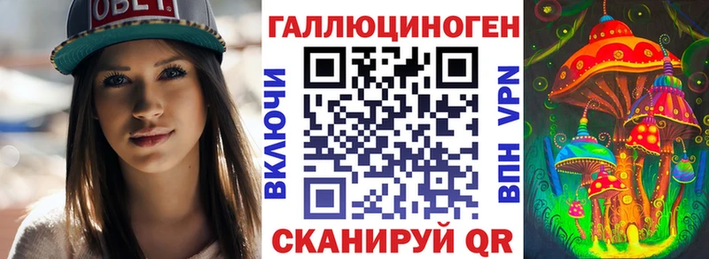 Псилоцибиновые грибы Magic Shrooms  Купить где  Петровск 